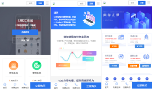 2021新版社交电商官网/卡盟租号官网/商城陪玩官网/建站代刷官网