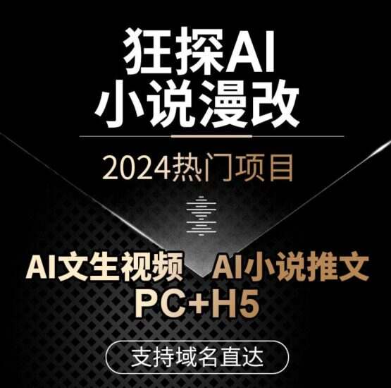 (2024超强吸金项目)AI-小说漫改、AI文生视频、AI小说推文,支持六大盈利模式,超强持续盈利能力,AI画图,视频合成均可赚客户差价!-济南壹软网络科技