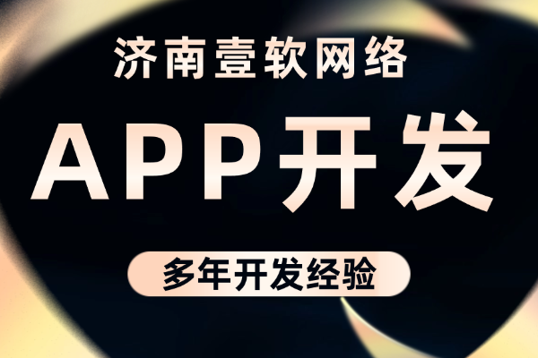 如何使用海外盲盒源码实现个性化定制-济南壹软网络科技